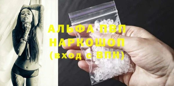 прущие грибы Армянск