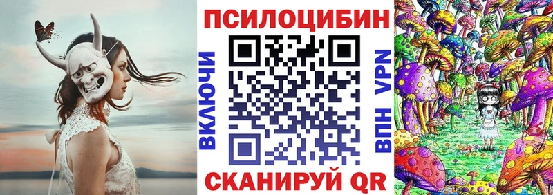 Псилоцибиновые грибы Psilocybe блэк спрут сайт Серафимович